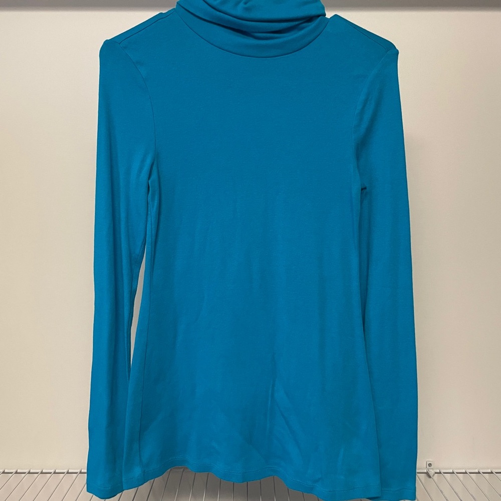 Blue turtleneck